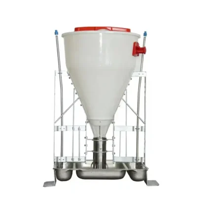 Automatic pig feeder