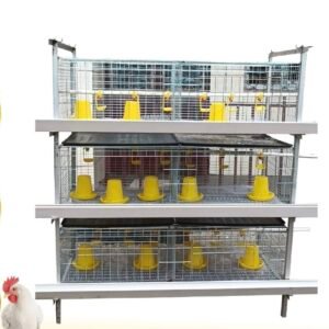 Cage for rearing chicken