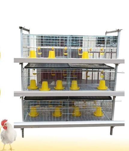 Cage for rearing chicken