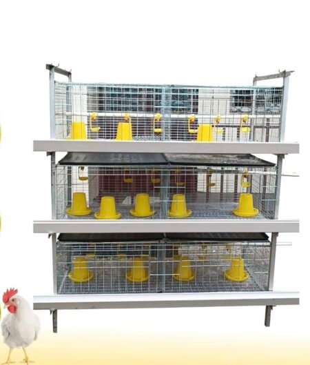 Cage for rearing chicken