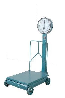 Scale with needle